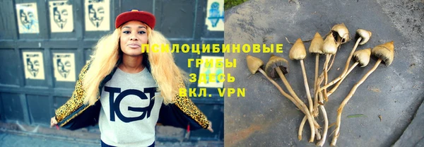 бутират Алексеевка