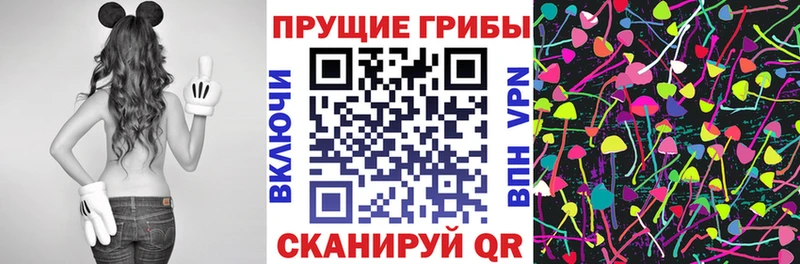 где купить наркотик  Таруса  Галлюциногенные грибы Magic Shrooms 