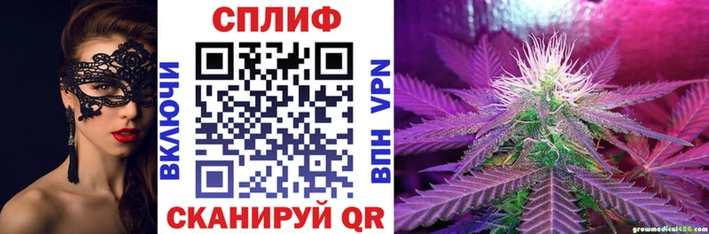 наркотики  Таруса  Конопля планчик 